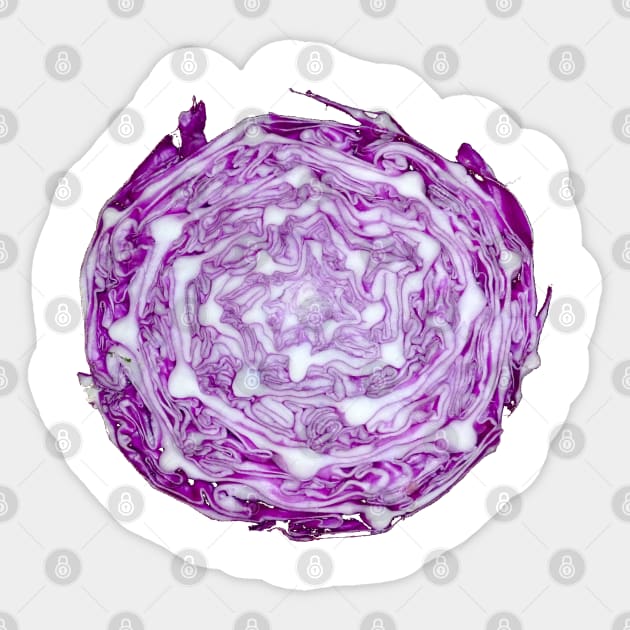 Purple cabble cabbage Sticker by Made the Cut